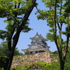 静岡浜松城