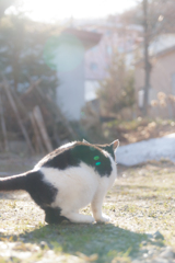 よいしょっと。