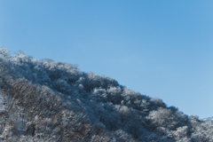 晴れ空