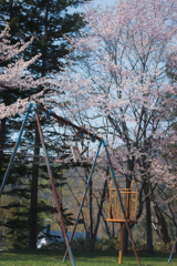 想い出