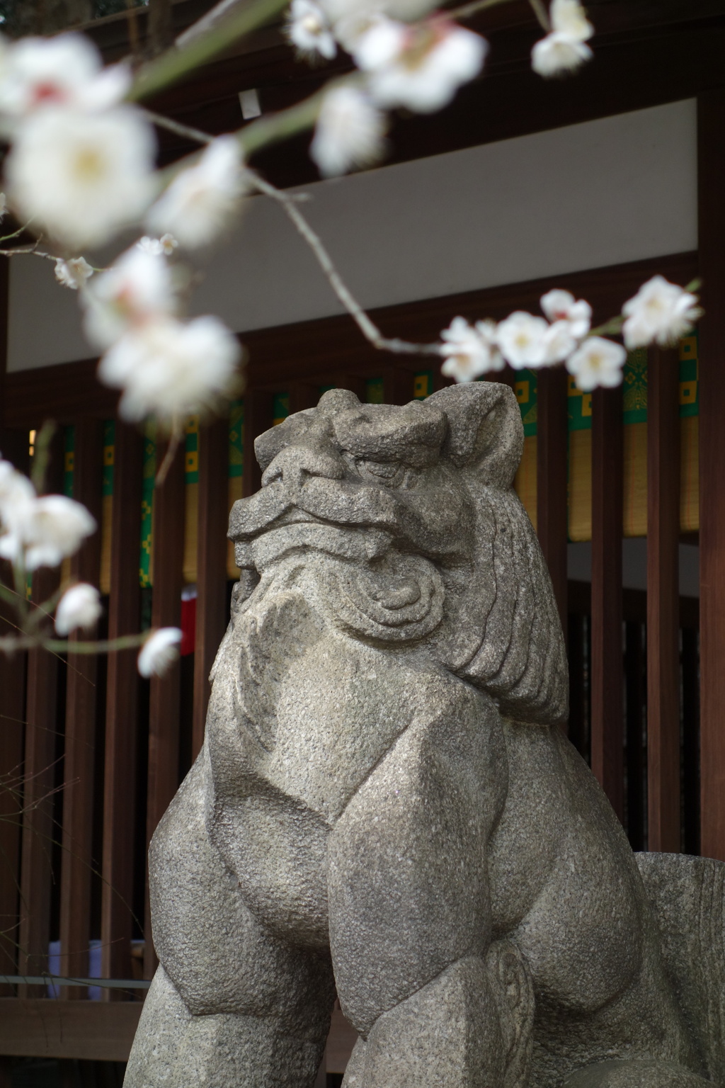 梅と狛犬