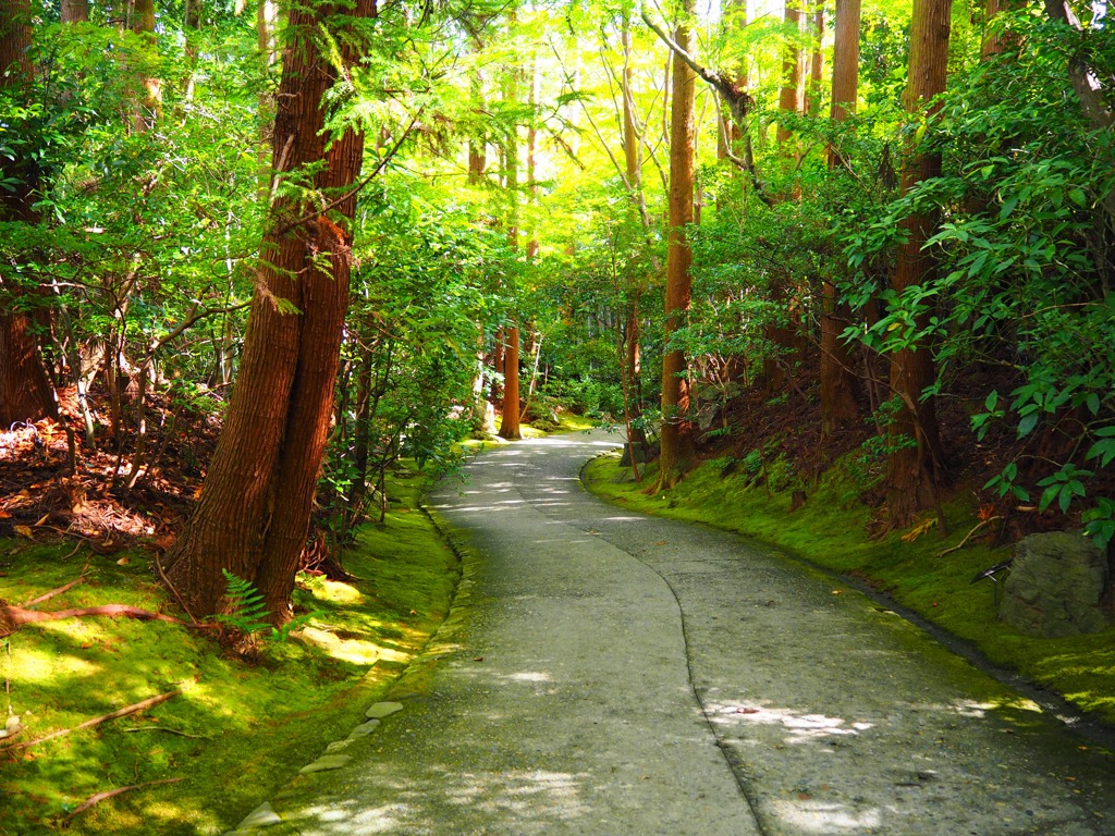 京都嵐山①