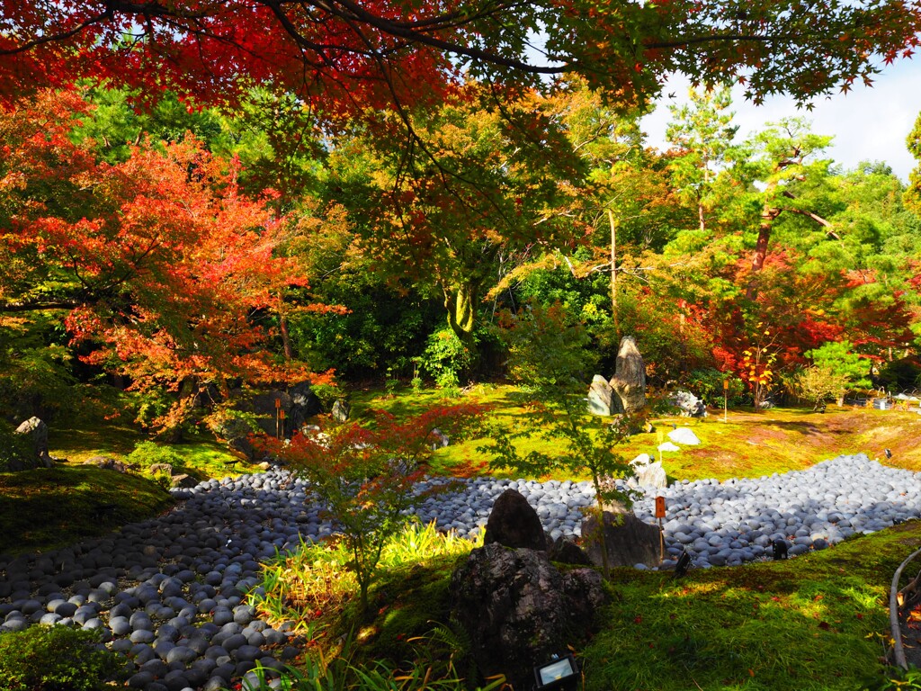 京都嵐山⑤