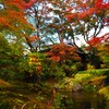 京都嵐山①