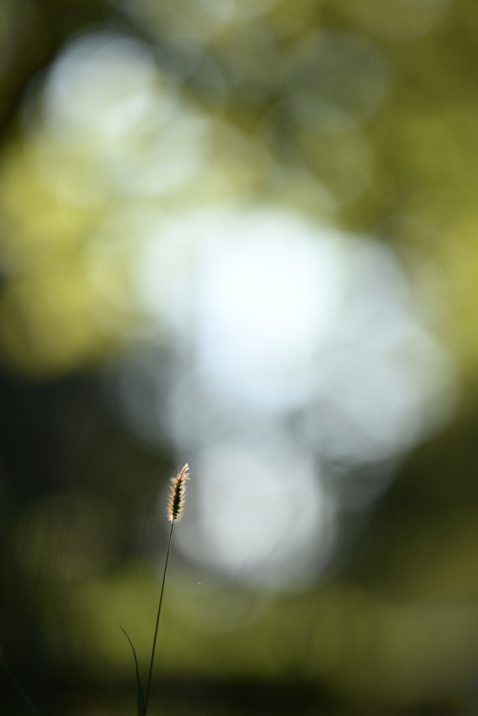 DSC_0411