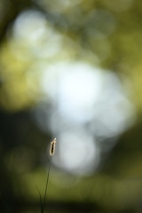 DSC_0411