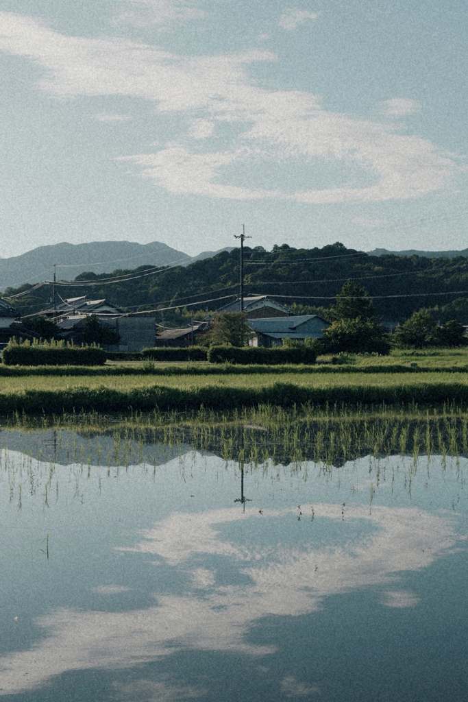 田んぼリフレクション