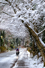 洞川温泉への旅路