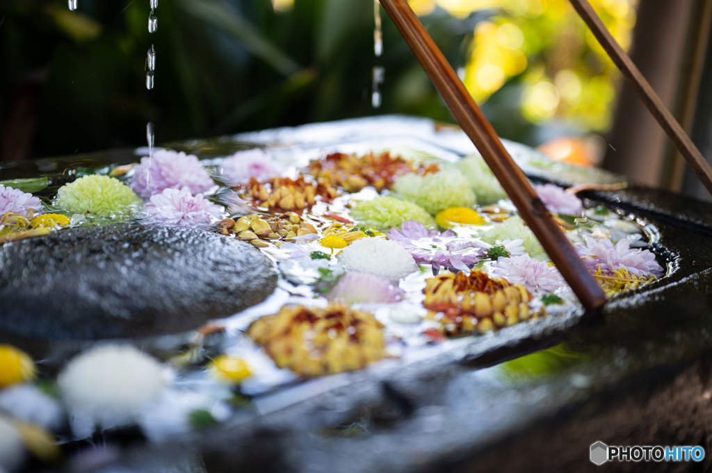 冬の花手水