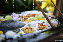 冬の花手水