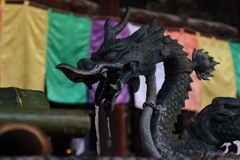 六角堂の龍