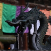 六角堂の龍