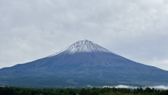 初雪