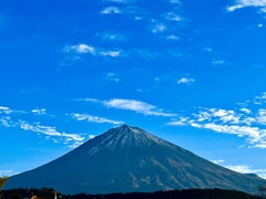 今年最後の投稿です。1年ありがとうございます。
