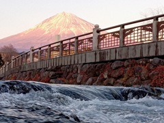 富士山と川