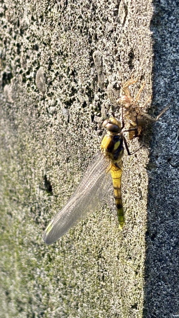 こんな時期に‥ちょっと遅いかな？