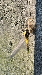 こんな時期に‥ちょっと遅いかな？