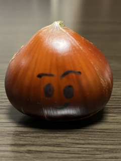 秋ですね！