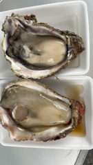 牡蠣　美味しい(^^)