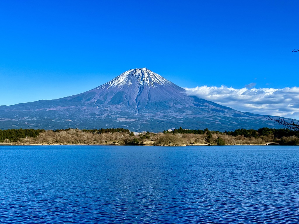年初めの1枚