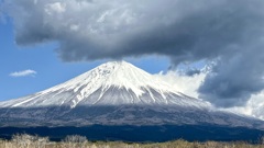 昼の富士