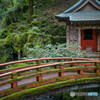 永平寺を徘徊する