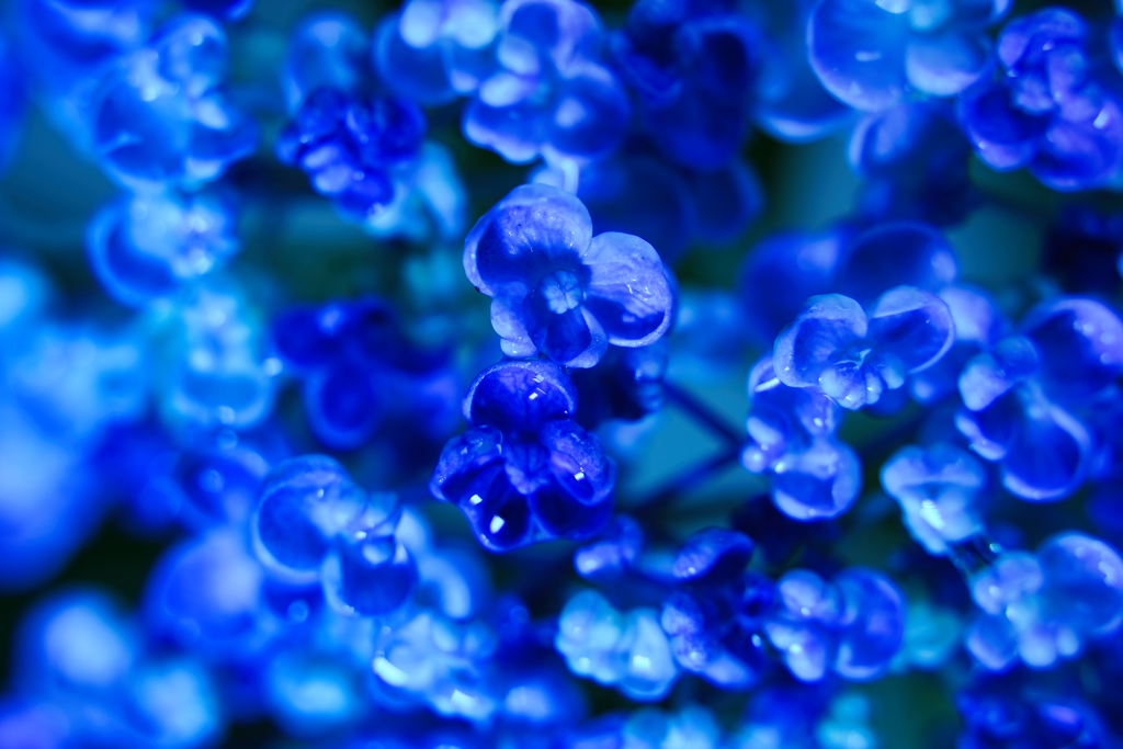蒼の世界