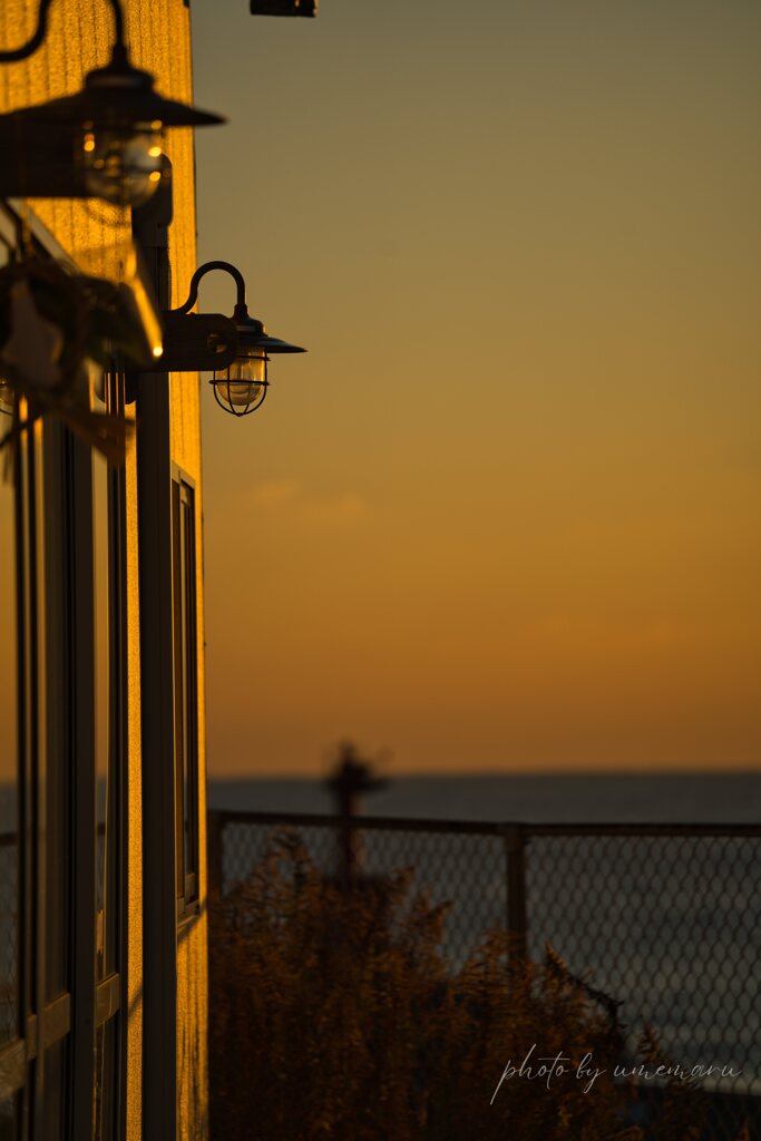 新春・スナップ