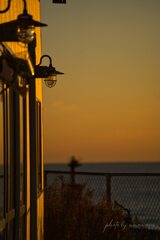 新春・スナップ