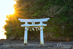 小島神社