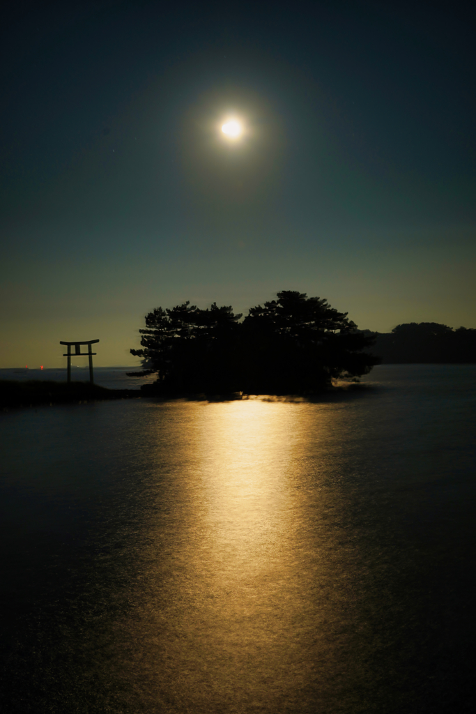 月光②