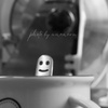 ピョコ♪
