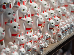 豪徳寺の招き猫
