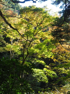 高尾3号路