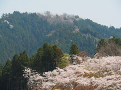 小仏城山から