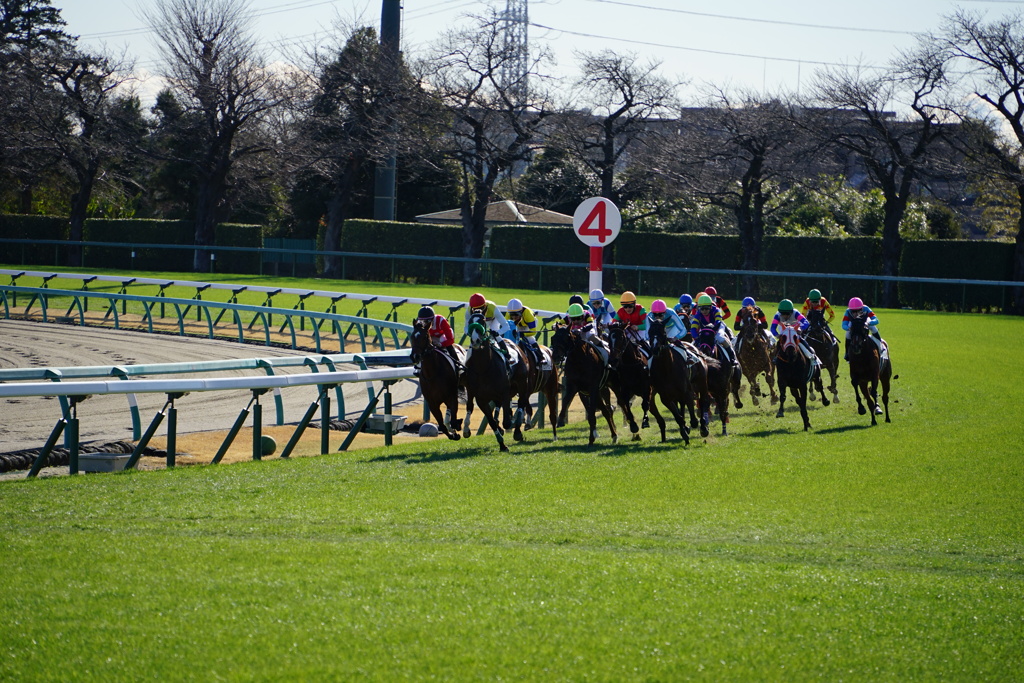 中山競馬場