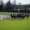 中山競馬場