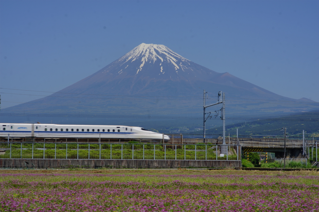 富士山とれんげ畑と新幹線