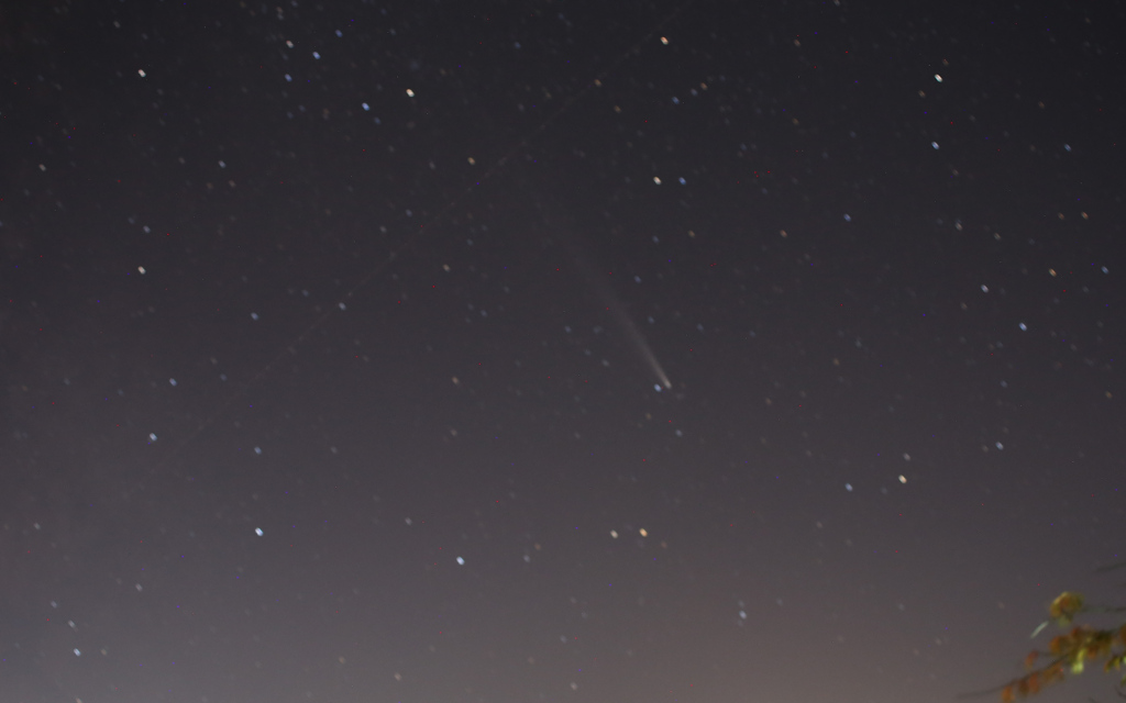 紫金山・アトラス彗星