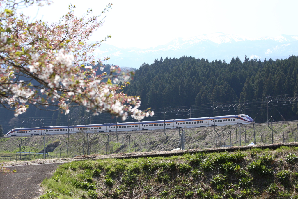 山形新幹線「つばさ」E3系　奥羽本線 庭坂～板谷間　庭坂カーブにて