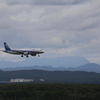 全日本空輸旅客機　ボーイング737  新千歳空港着陸