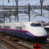 東北新幹線　E2系　JR大宮駅　新幹線ホームにて