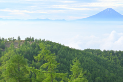 富士山と雲海と甘利山