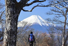 檜洞丸山頂からの富士山