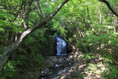 竪琴の滝