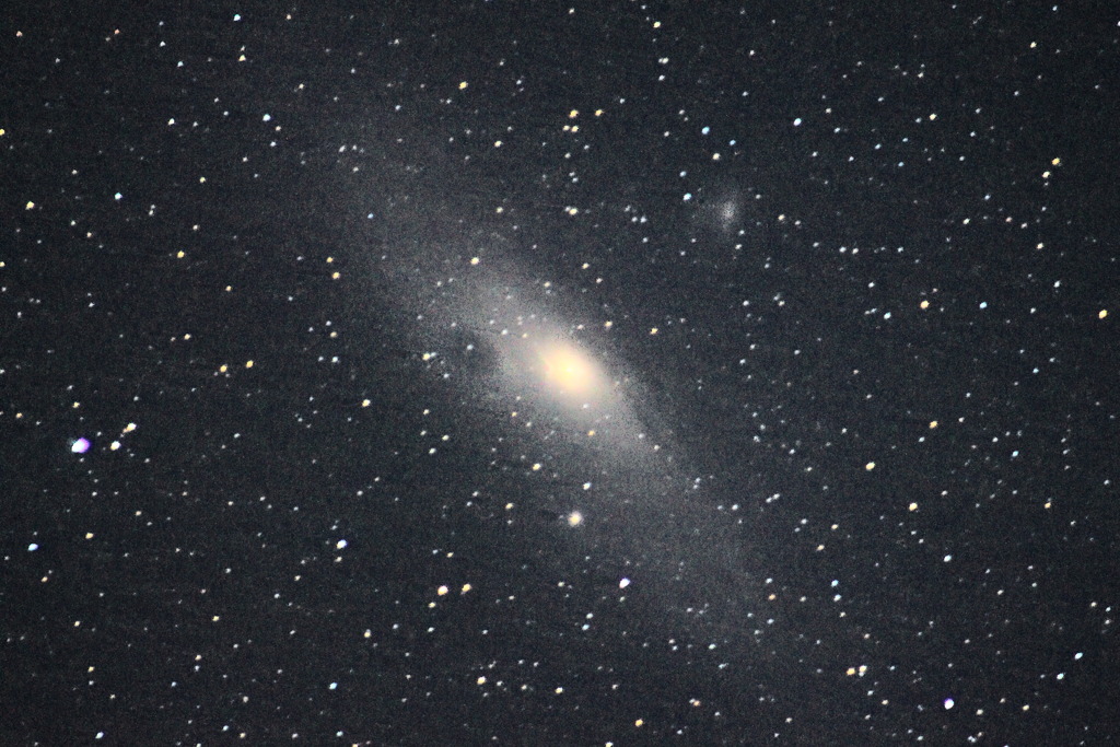 M31