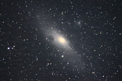 M31