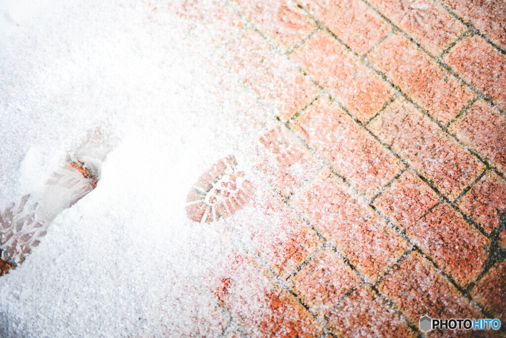 雪の足跡