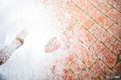 雪の足跡