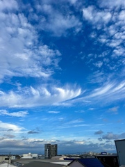 今日の鹿児島2024 台風一過